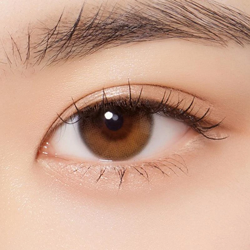 Olola Daymood 1-Day Brown (10pk) (KR) 2 Olola Daymood 1-Day Brown (10pk) (KR) - Image 2