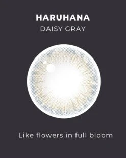 OTR Haruhana Daisy Grey 12 OTR Haruhana Daisy Grey -Lens World Shop HARUHANA DAISY GRAY DETAIL3 model