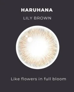 OTR Haruhana Lily Brown -Lens World Shop HARUHANA LILY BROWN DETAIL2 model