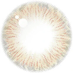 OTR Haruhana Lily Brown -Lens World Shop HARUHANA Lily Brown LT