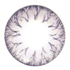 Pink Label Soony Grey -Lens World Shop ICK Soony Grey LT