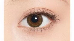 Minette 1-Day Layer Almond Brown (10pk) -Lens World Shop Layer Almond Eye