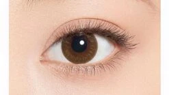 Minette 1-Day Layer Marron Brown (10pk) 10 Minette 1-Day Layer Marron Brown (10pk) -Lens World Shop Layer Marron Eyes