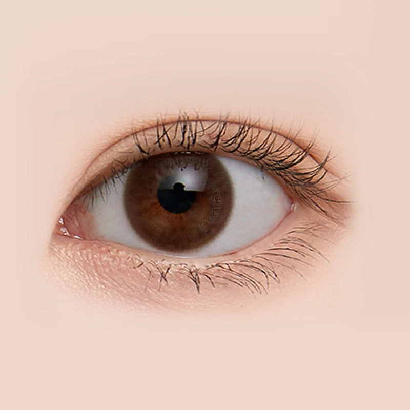 LensMe Makeover Winble Choco (4pk) 2 LensMe Makeover Winble Choco (4pk) - Image 2