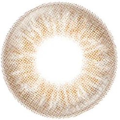 NEO Neoism Pure Orange Brown (50pk) 8 NEO Neoism Pure Orange Brown (50pk) -Lens World Shop NEO Neoism Dali Pure Orange Brown LT