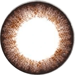 NEO Weekly Shiny Dali Brown (12pk) (KR) 2 NEO Weekly Shiny Dali Brown (12pk) (KR) - Image 2