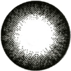 NEO Extra Dali Black (Custom Toric) -Lens World Shop NEOExtraDaliBlackLT