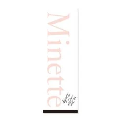 Minette 1-Day Naked Rain Grey (10pk) -Lens World Shop Naked Box