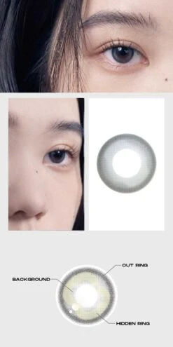 Entropy Coco Grey -Lens World Shop cocolensgray detail3 model