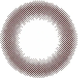 Feliamo 1-Day Sheer Brown (10pk) 2 Feliamo 1-Day Sheer Brown (10pk) - Image 2