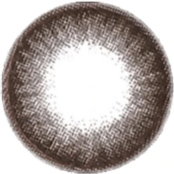 NEO Extra Dali Grey (KR) -Lens World Shop image 2ca4b327 6963 4b85 8f76 8ac4e385f67a