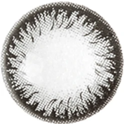 NEO Extra Dali 2 Grey (KR) -Lens World Shop image 871636cc 92a6 41d2 acc3 b5b852d959cc