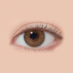 LensMe Cocktail Frappe Brown -Lens World Shop lensme cocktail frappe brown CUE