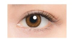 Lucia 1-Day Almond Brown (10pk) -Lens World Shop lucia almond brown circle lens