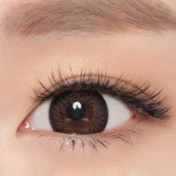 NEO Extra Dali 2 Brown (KR) -Lens World Shop neo extra dali 2 n044 brown close 4