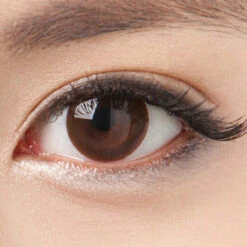 NEO Dali Premium Brown -Lens World Shop neo n017 dali premium brown circle lens close